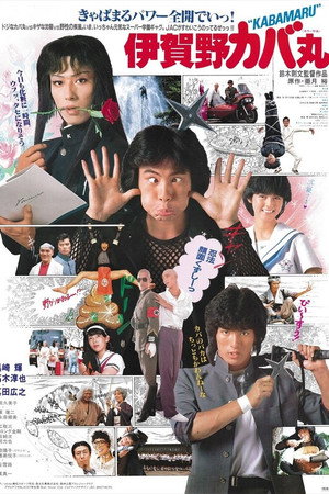 伊賀野カバ丸