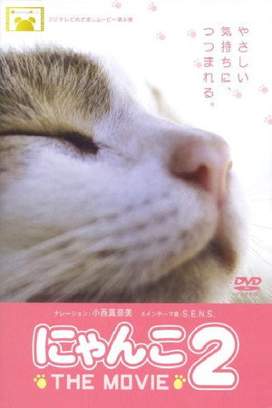 猫咪物语2