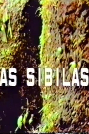 As Sibilas