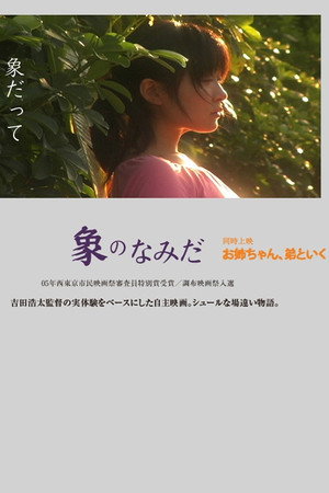象のなみだ
