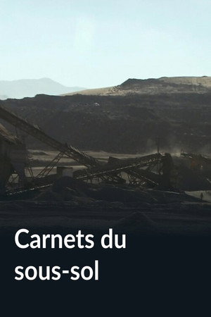 Carnets du sous-sol