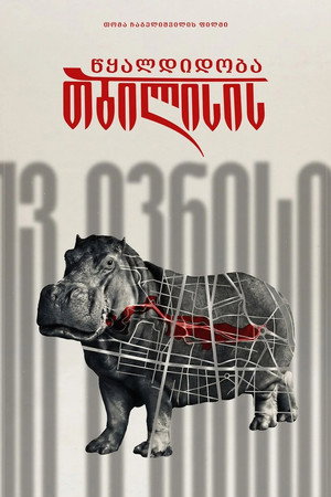 თბილისის წყალდიდობა