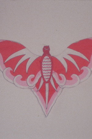 Bat Kite Lucy Robin