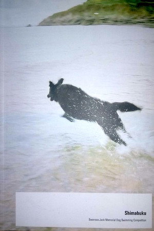 Swansea Jack Memorial Dog Swimming Competition