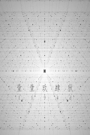 1194D