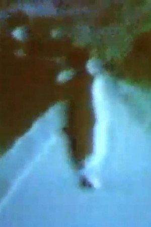 認知構造№XIII 変奏’85