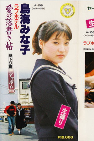 鳥海みな子 ラブホテル 愛の落書き帖-昼下り篇-