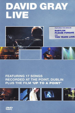 David Gray - Live