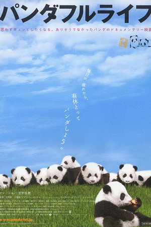 大熊猫的生活