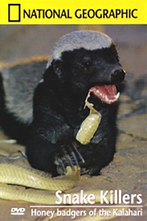 Snake Killers - Honey badgers of the Kalahari
