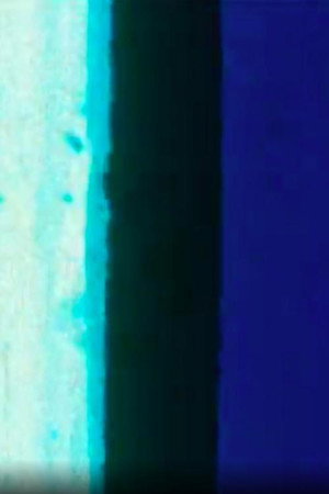 La petite mort