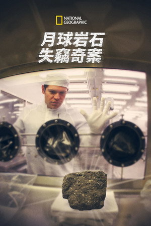 百万美元月岩偷窃案