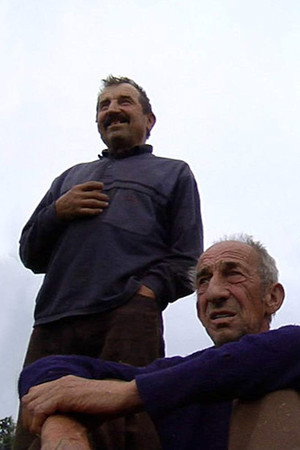 Căutare