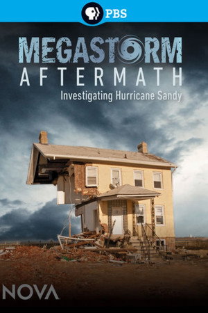 Megastorm Aftermath