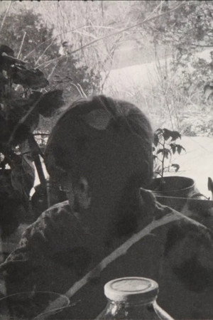 Nogarok