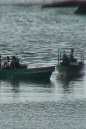Lottery of the Sea