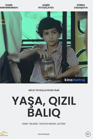 Yaşa, qızıl balıq