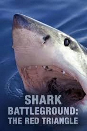 Shark Battleground: Red Triangle