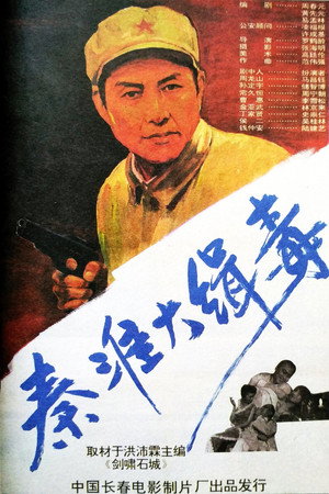 秦淮大缉毒