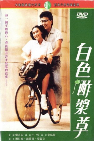 白色酢浆草