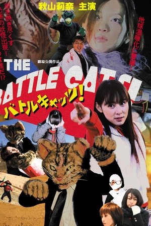 战斗猫！