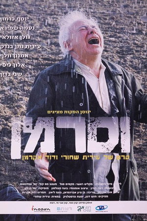 וסרמן איש הגשם