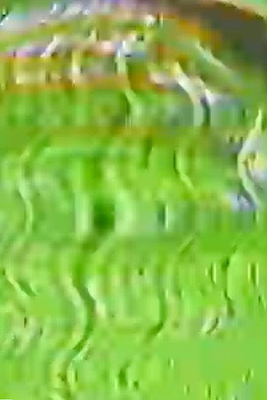 Standing Waves