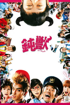 钝兽