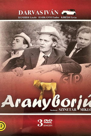 Aranyborjú
