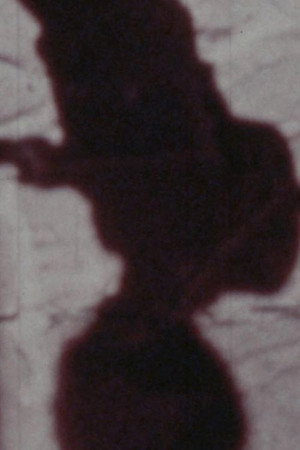 Señales de vida