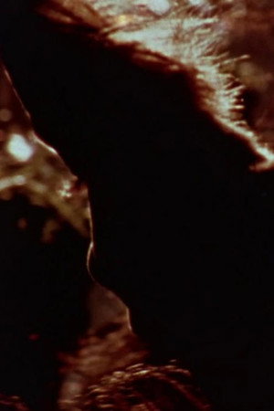 Duplicity III