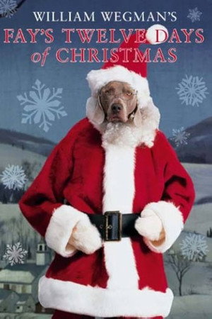 Fay's 12 Days of Christmas