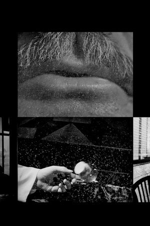 Cinema Study