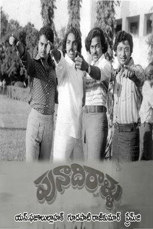 Punadhirallu
