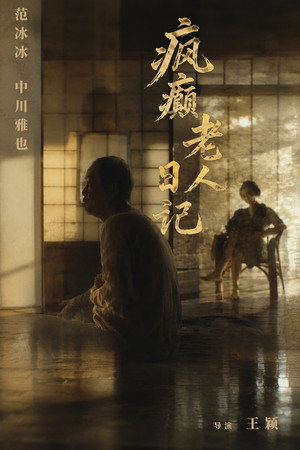 疯癫老人日记