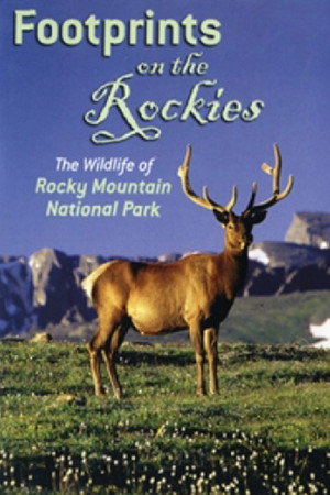 Footprints on the Rockies