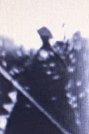 夢代九