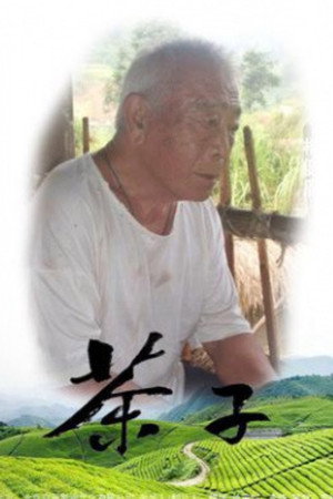 茶子