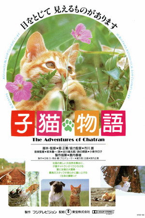 子猫物语