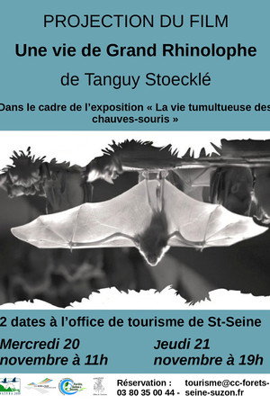 Une vie de Grand Rhinolophe