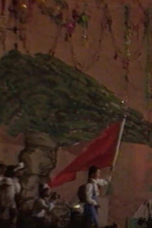 大树乡