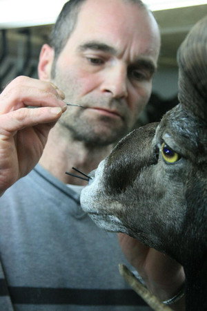 Taxidermist