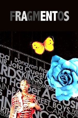 Fragmentos
