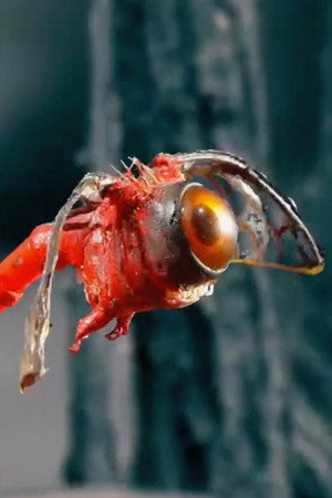 So E Youn