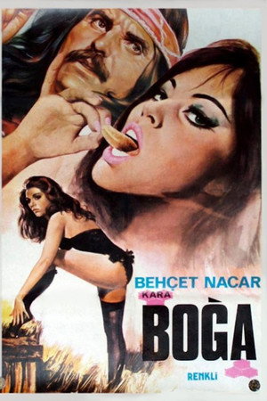 Kara Boğa