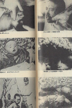 理解与选择
