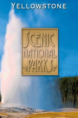 Scenic National Parks: Yellowstone