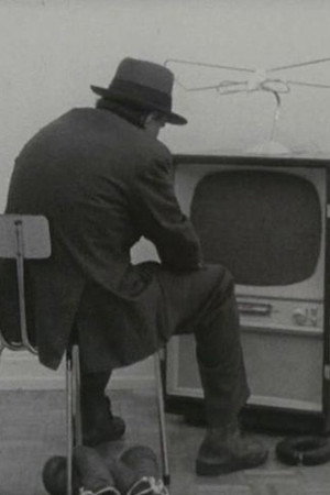 Filz TV