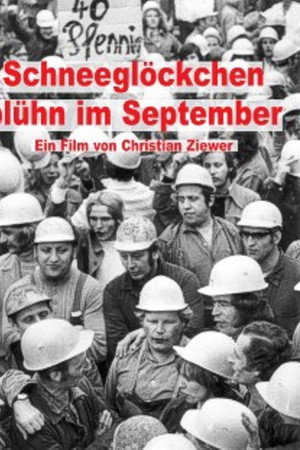 Schneeglöckchen blühn im September