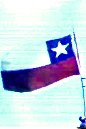 Tricolor (o Un espacio ganado)